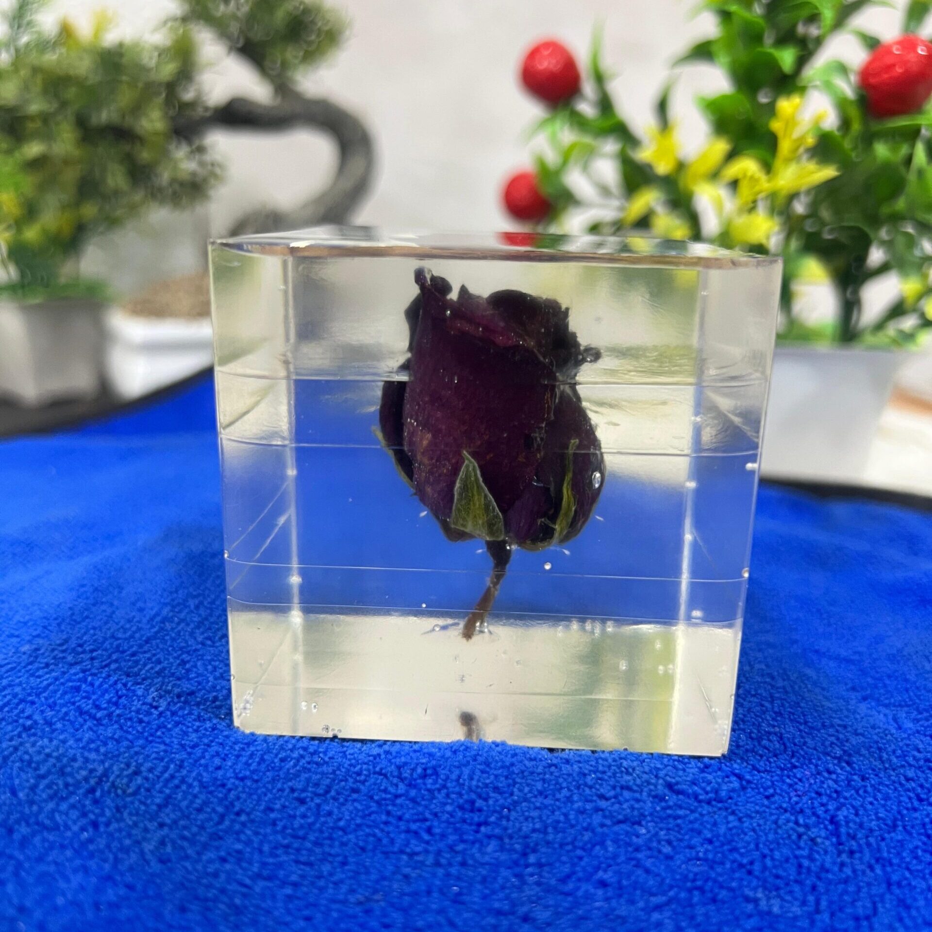 flower preserved in resin