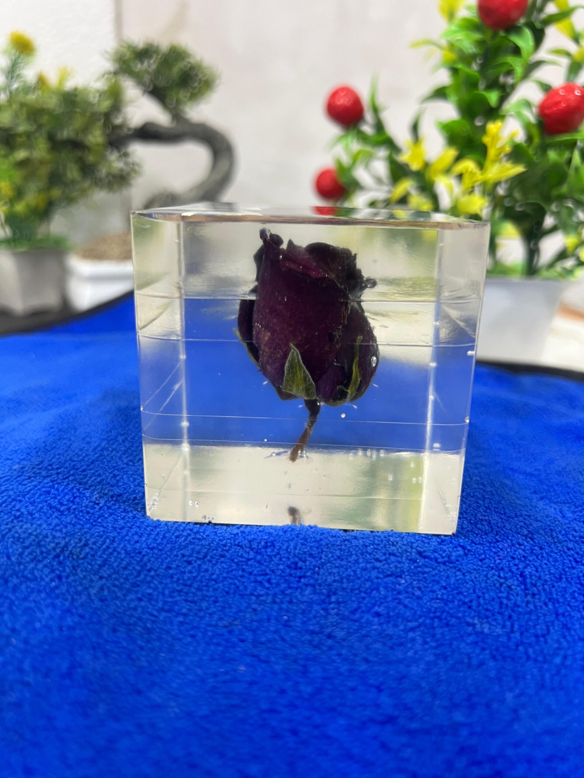 flower preserved in resin