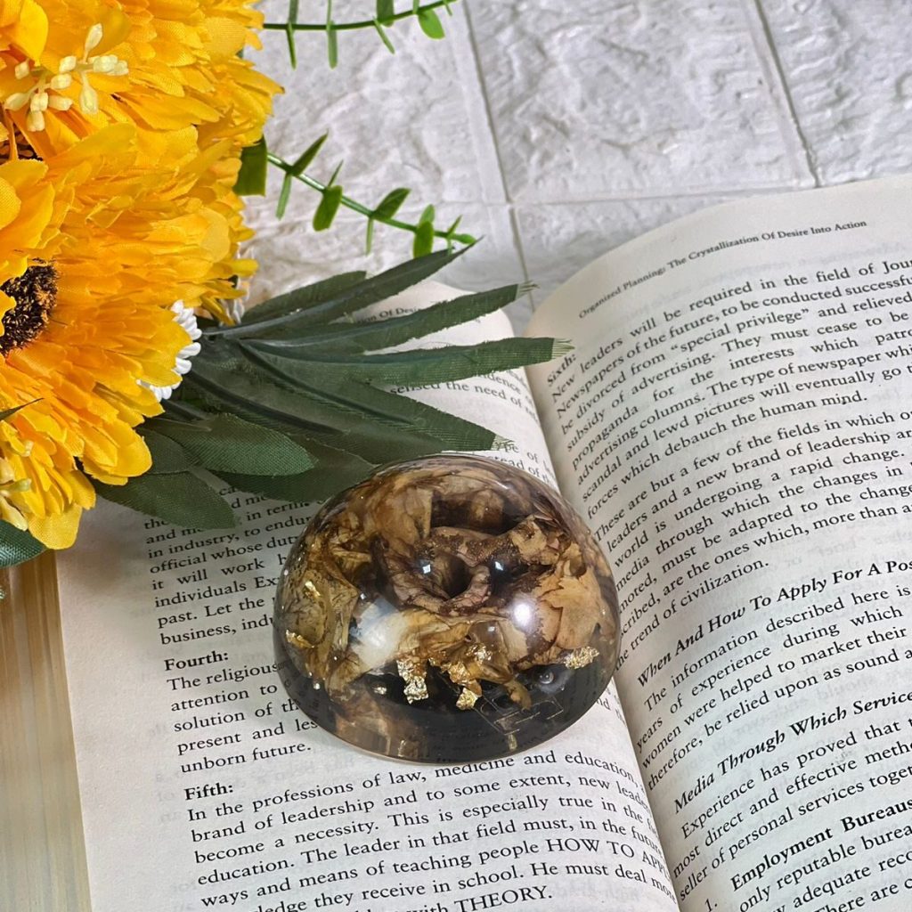 Round deep-casting resin paperweight with preserved single rose