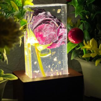 Rose Flower Preservation in Resin | LED Resin Block (- Inch)