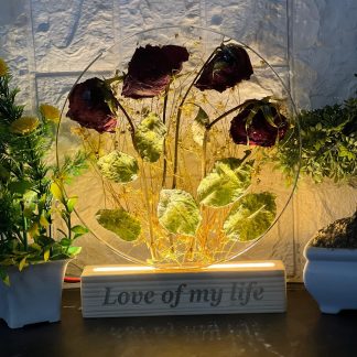 Special Rose Flowers Preserved LED Lamp