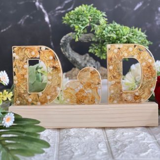 Epoxy Wedding Flower Preserved Name Initials LED Lamp (6 inch )