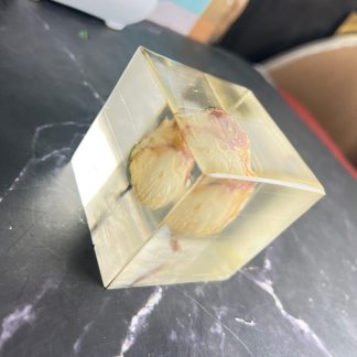 Mini Resin Cube with Preserved Rosebud – (3) Inch