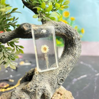 Resin Pendant with Real Flower and Hair