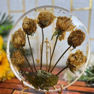 Round Rose Flowers Preservation Frame - 8 Inch