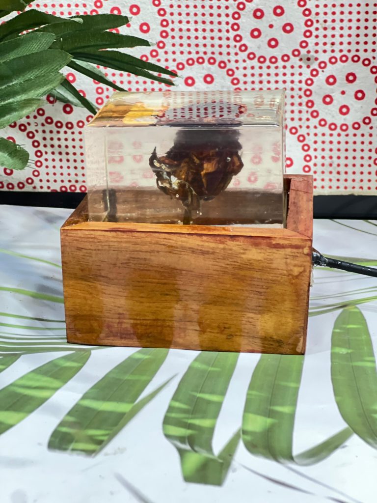 Preserved Rose Resin LED Lamp with Wooden Base