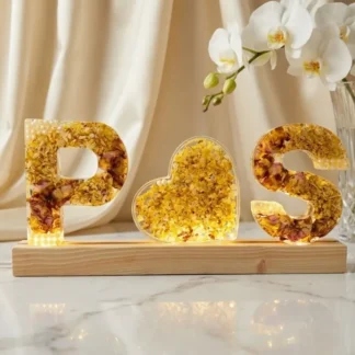 Personalized Resin Letters with LED Light ( 6- Inch)